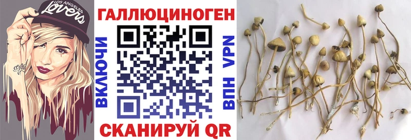 Псилоцибиновые грибы MAGIC MUSHROOMS  гидра онион  Салаир 